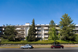Pandora Heights - Victoria, British Columbia - Apartment for Rent