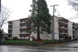 Rockland Heights - Victoria, British Columbia - Apartment for Rent