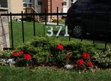 Yonge Street Townhouses - Kingston, Ontario - Apartment for Rent