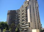 Elm Grove - Toronto, Ontario - Apartment for Rent