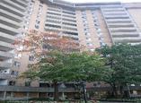 63, 73  Widdicombe Hill Boulevard - Etobicoke , Ontario - Apartment for Rent