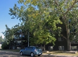 Oasis Apartments - Edmonton, Alberta - Apartment for Rent