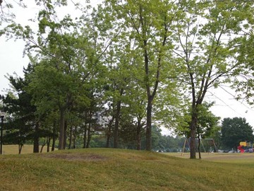Apartments for Rent in Toronto -  Panorama Apartments - CanadaRentalGuide.com